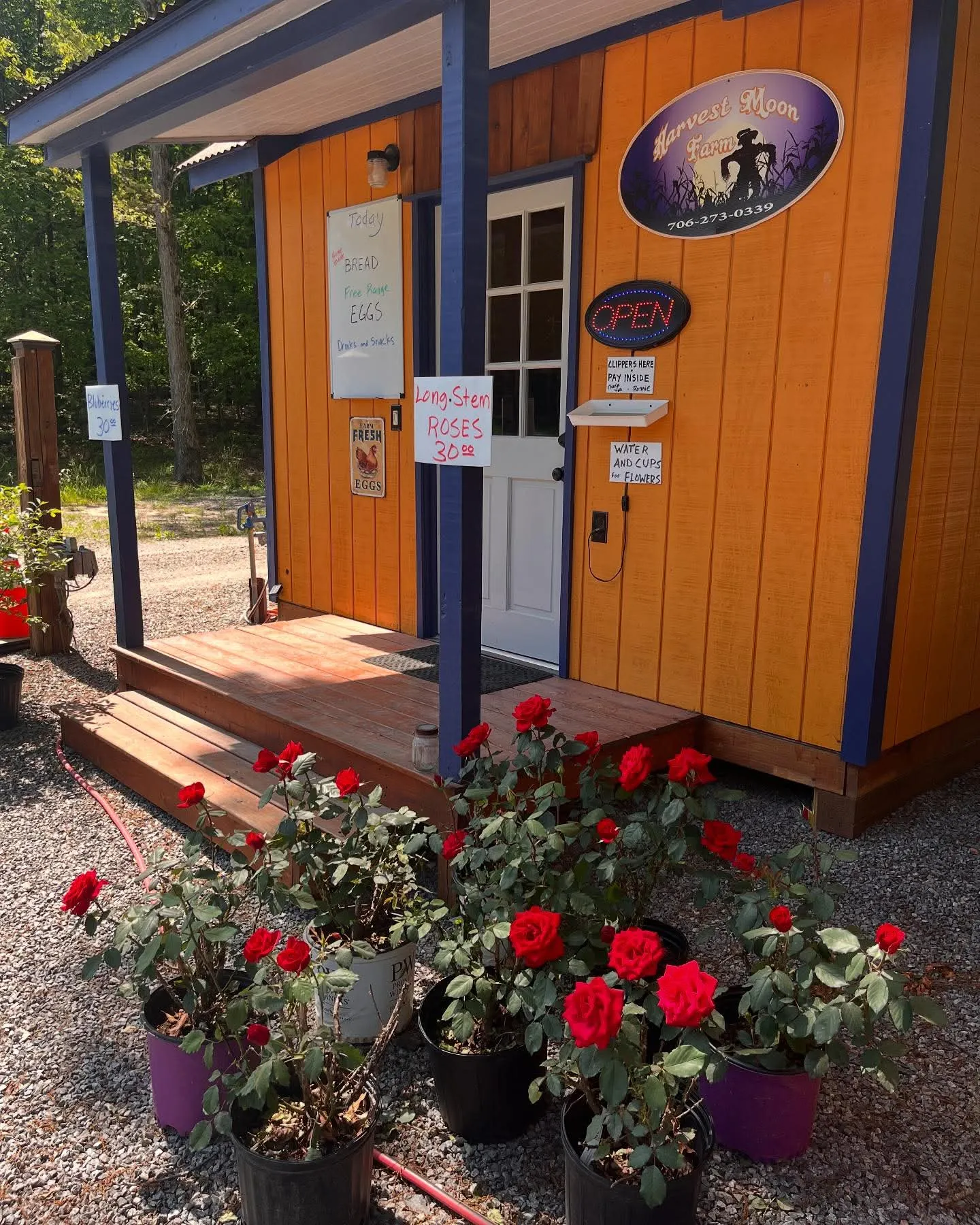 The Harvest Moon Farm stand with hand-lettered signs for bread, free-range eggs and long-stem roses