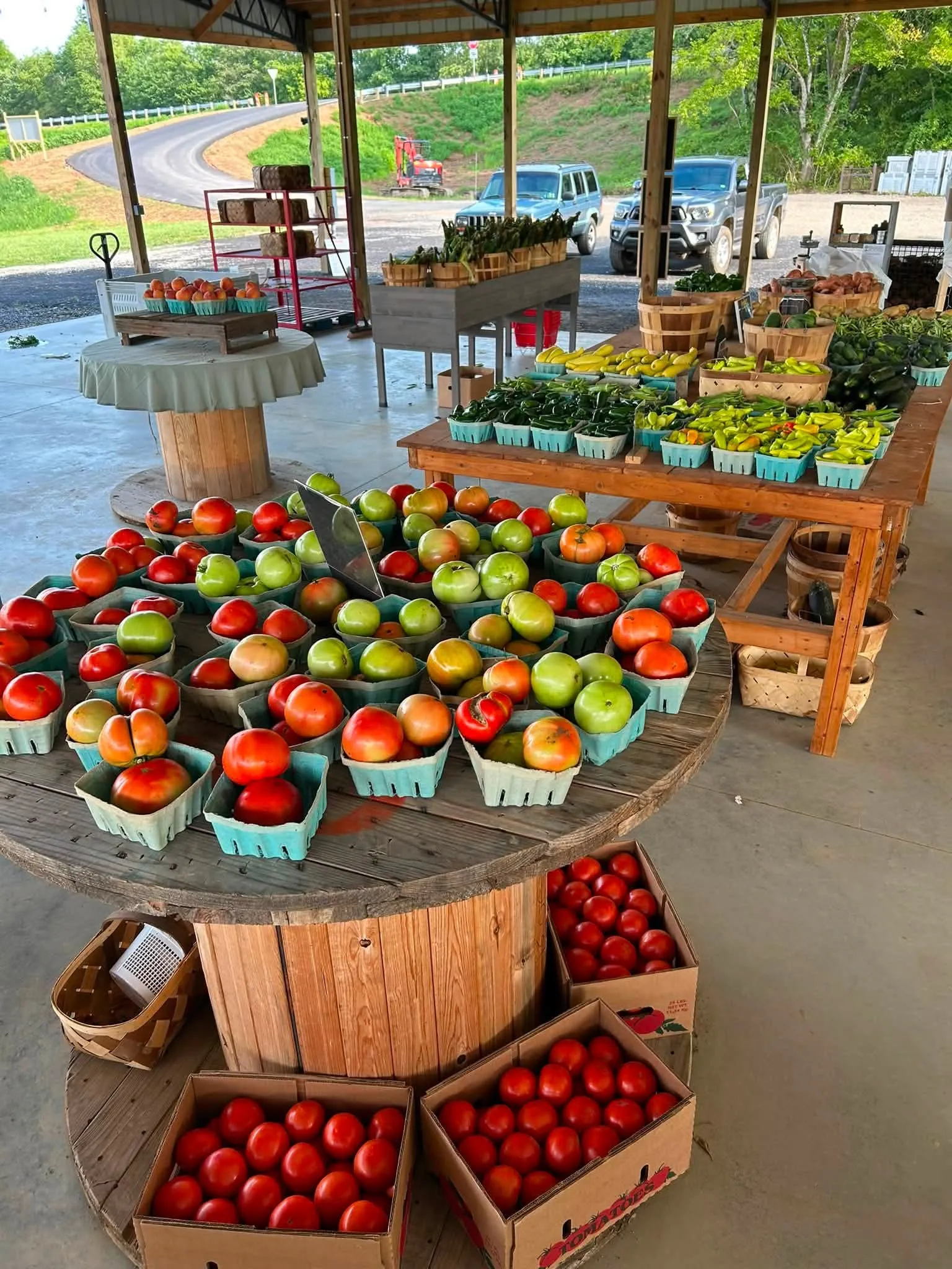 The Cate Farms pavilion stand piled with heirloom tomatoes, squash, peppers and other seasonal produce