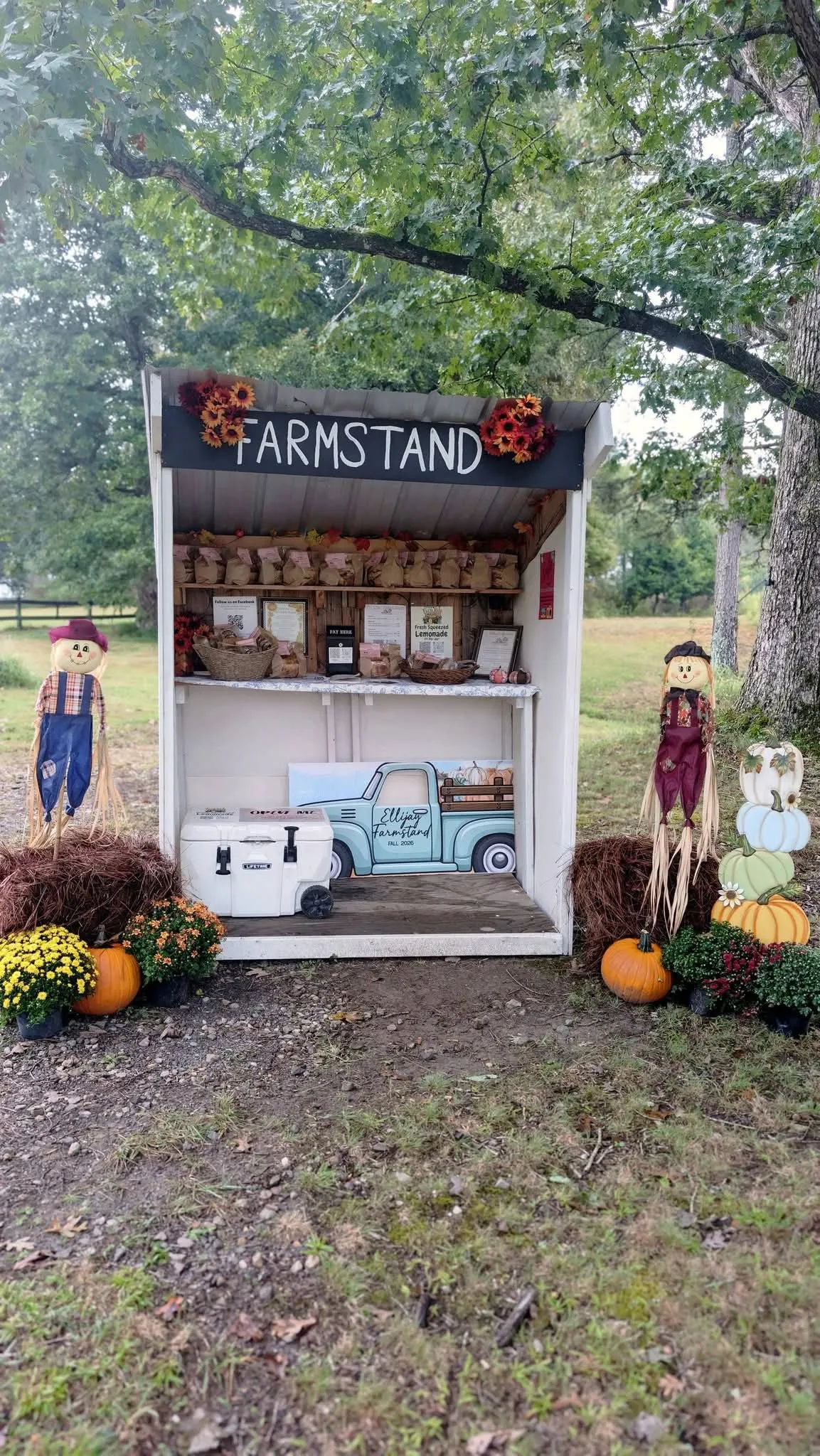 The Ellijay Farm Stand, decorated for fall with pumpkins, sunflowers and scarecrows, stocked with bagged goods