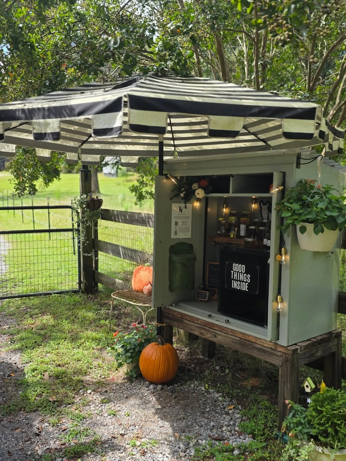 The Wild Blooms Farmstand self-serve cabinet, decorated with pumpkins and hanging flower baskets